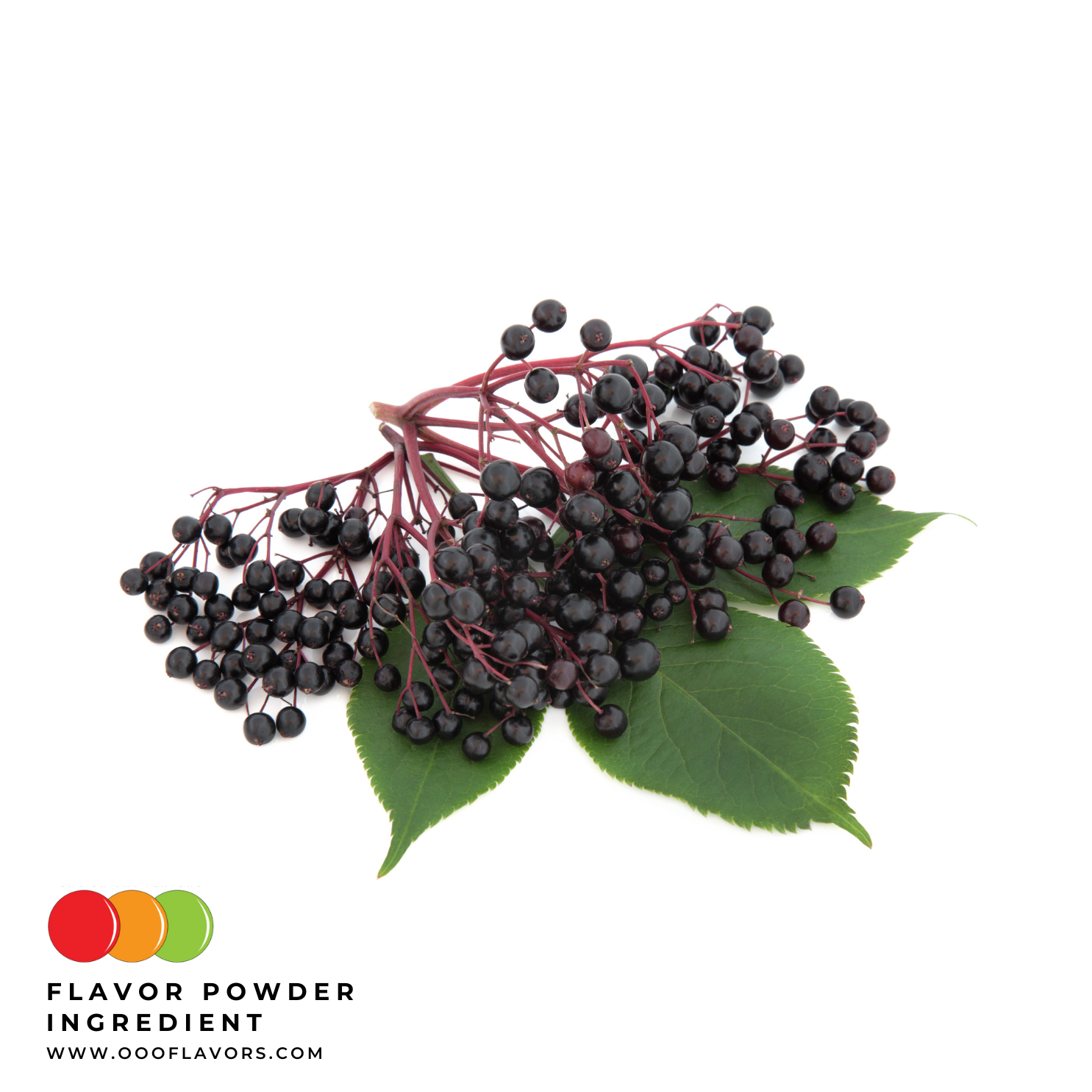 Elderberry Flavor Powder