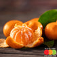 Tangerine (Emulsion) Flavored Liquid Concentrate
