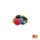 Wild Berry Flavored Liquid Concentrate